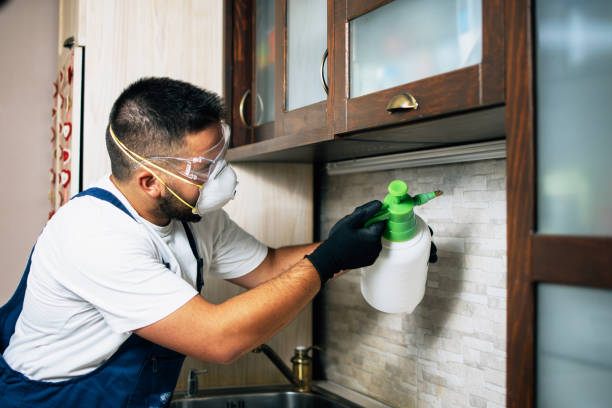 Best Cockroach Control Services  in Scott, LA