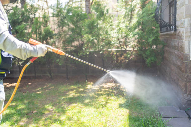Best Affordable Pest Control Services  in Scott, LA