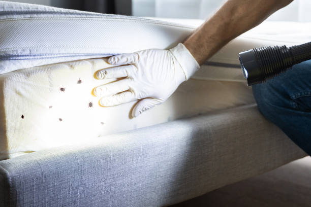 Best Best Pest Control Companies  in Scott, LA
