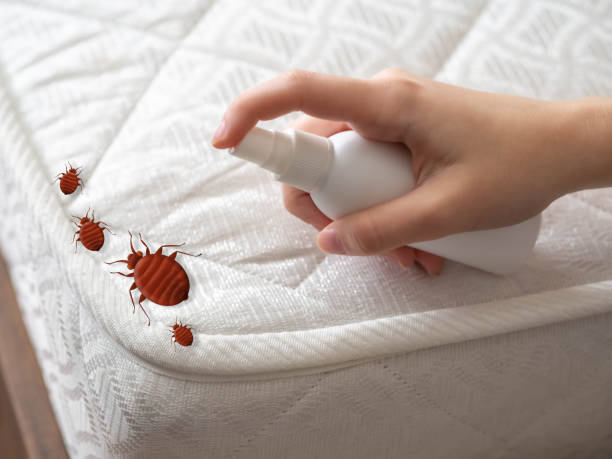 Professional Pest Control in Scott, LA
