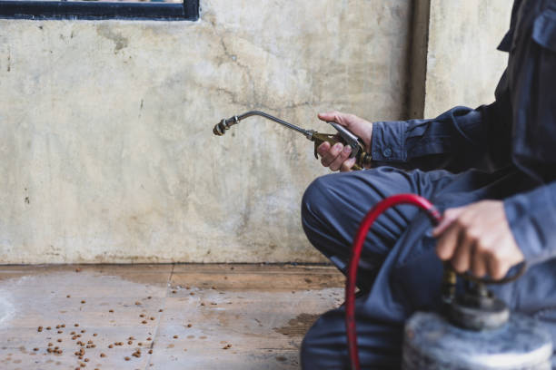 Best Pest Control Near Me  in Scott, LA